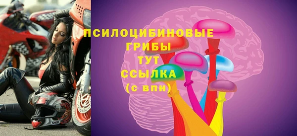 тгк Алзамай