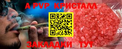 гидра Новодвинск
