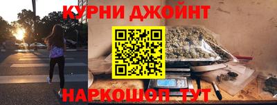 гидра Новодвинск