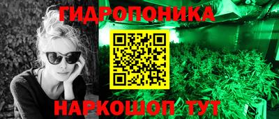 ALPHA-PVP Новозыбков