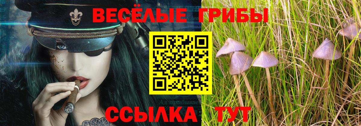 Псилоцибиновые грибы Cubensis  Вход с VPN  Псилоцибиновые грибы Magic Shrooms  Геленджик 